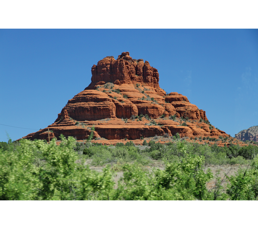 IMM_18018