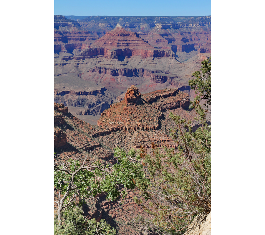IMM_18195