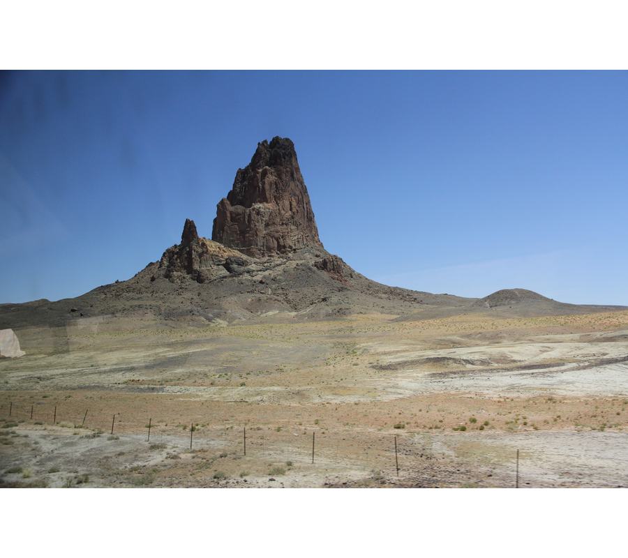 IMM_18475