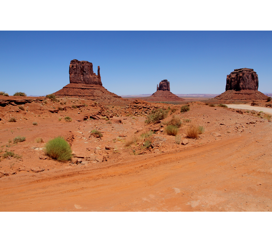 IMM_18562--b