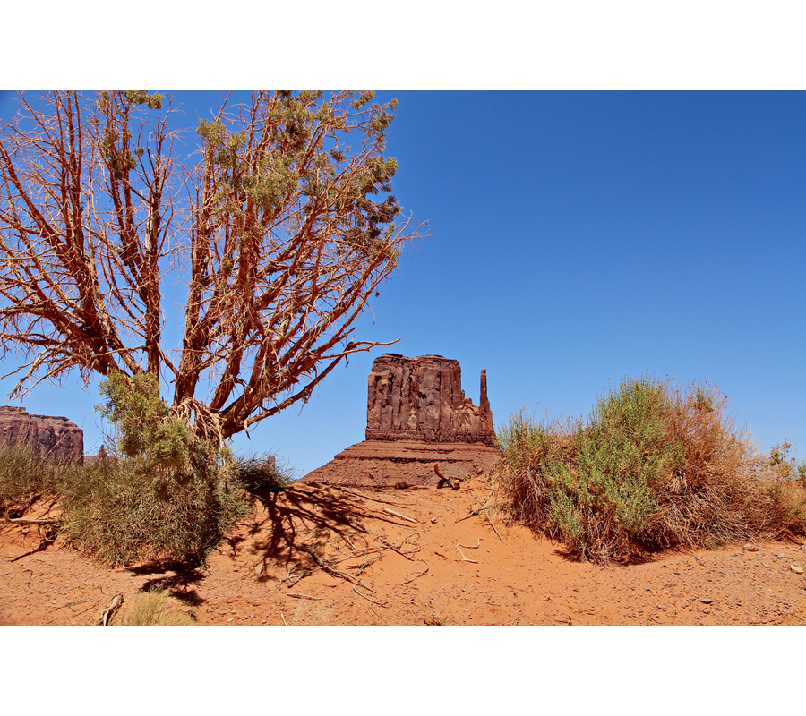 IMM_18575