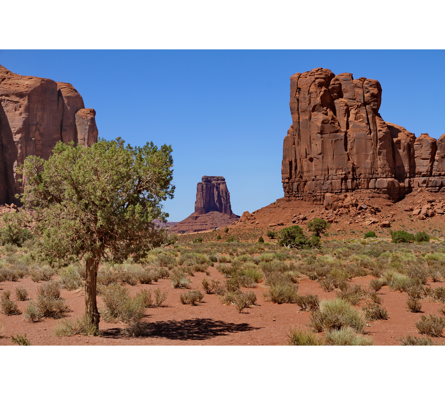 IMM_18664