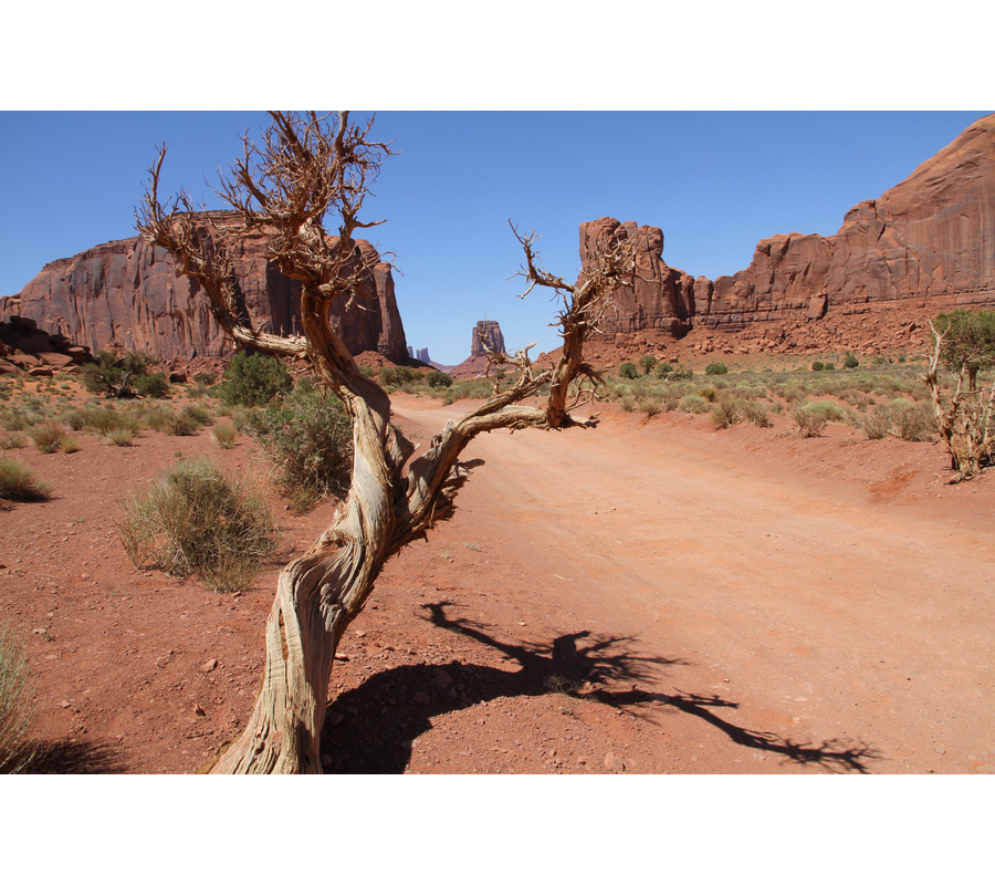 IMM_18669