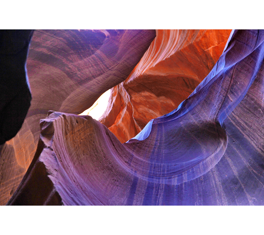 IMM_18754