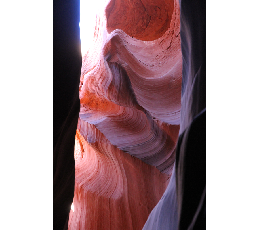 IMM_18852