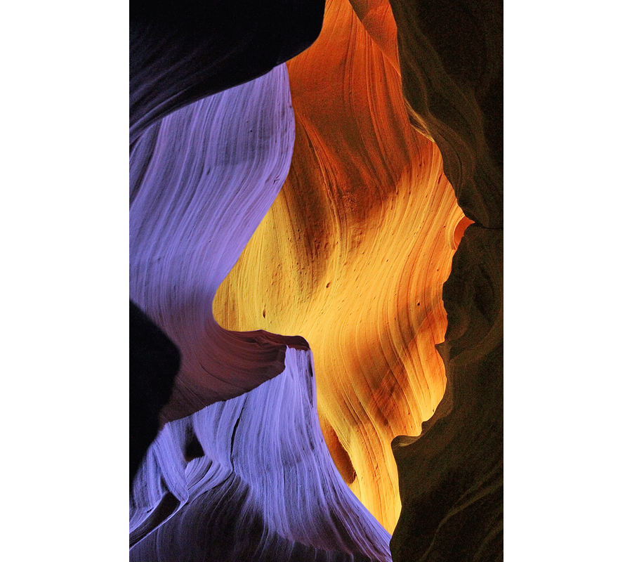 IMM_18858--b
