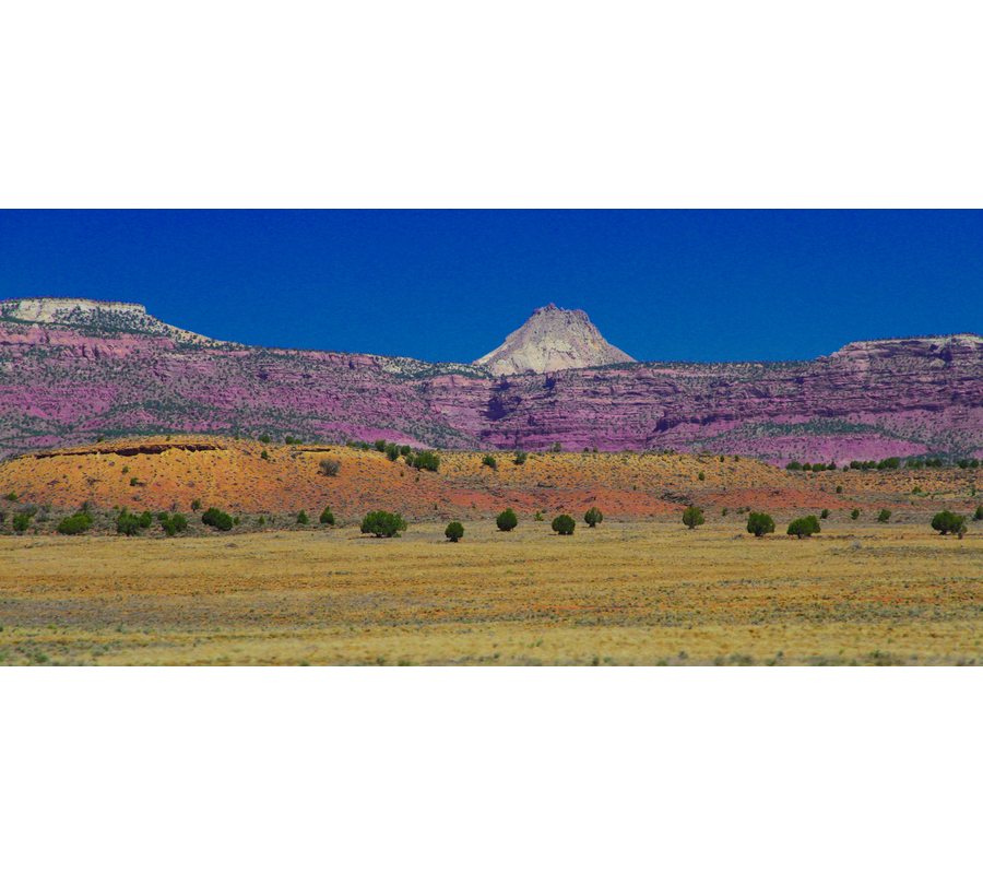 IMM_18974