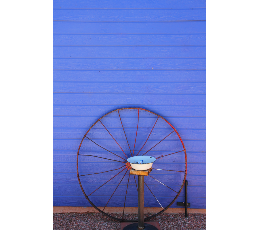 IMM_19026