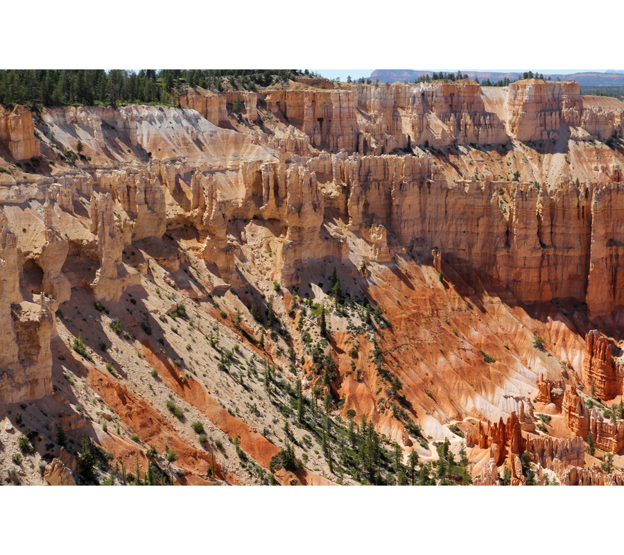 IMM_19077