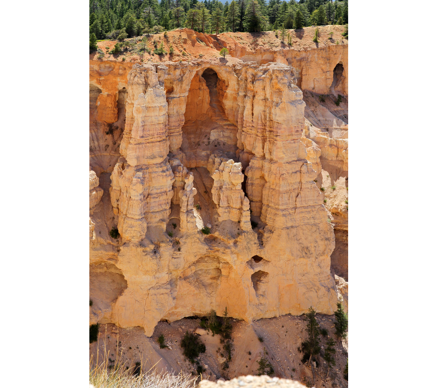 IMM_19082