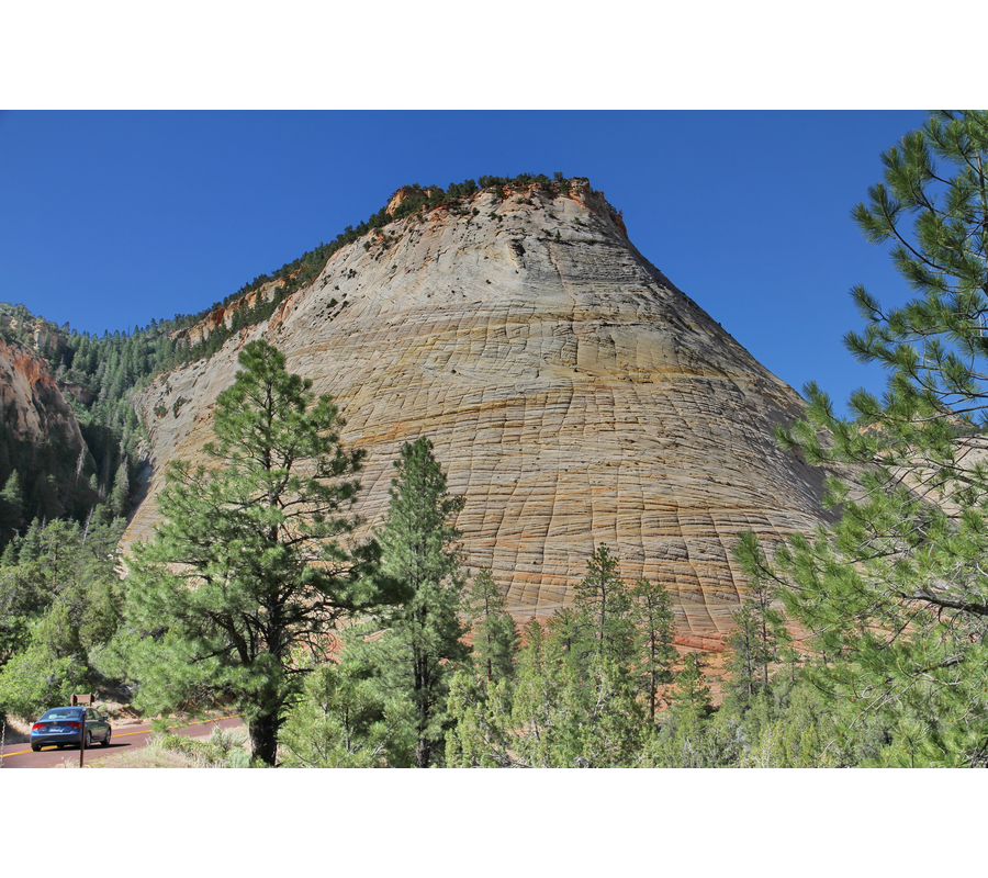IMM_19337