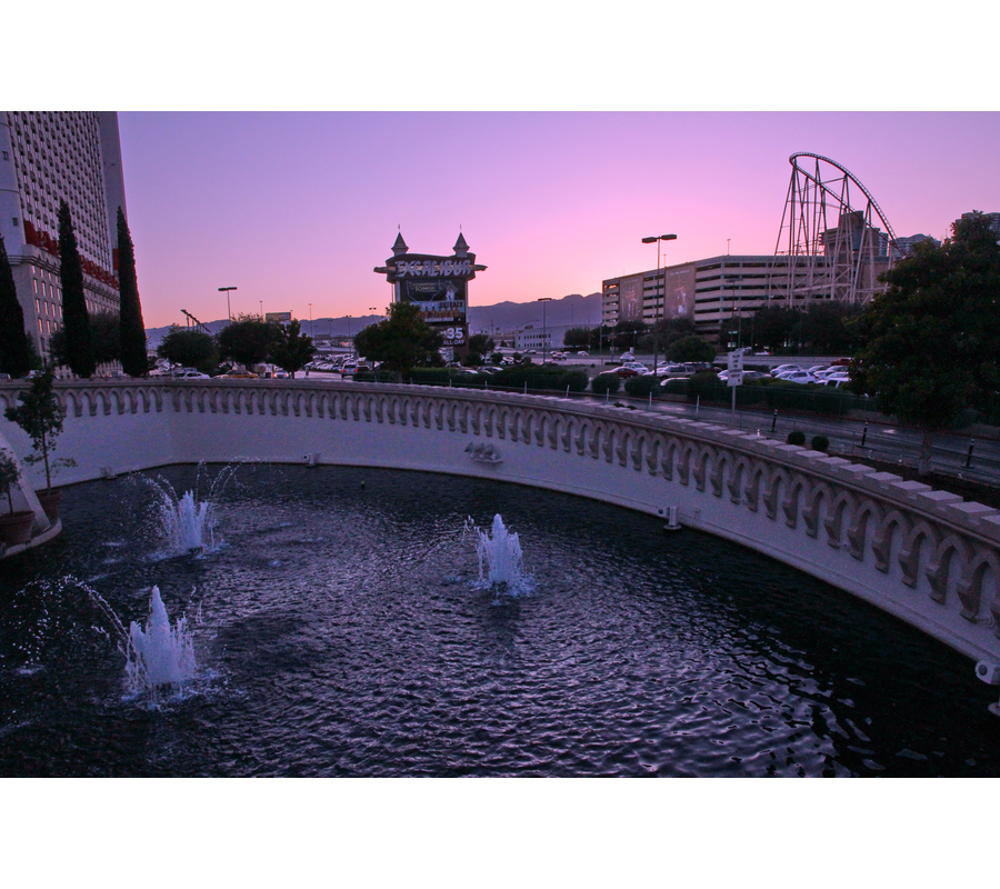 IMM_19557