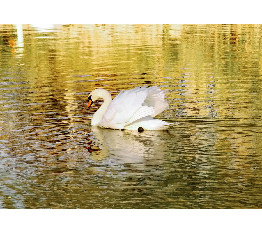 IMM_14628-b