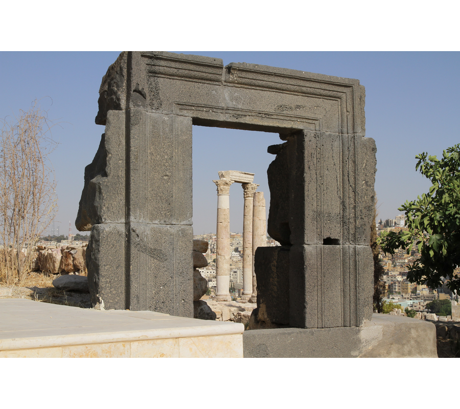 IMM_00361
