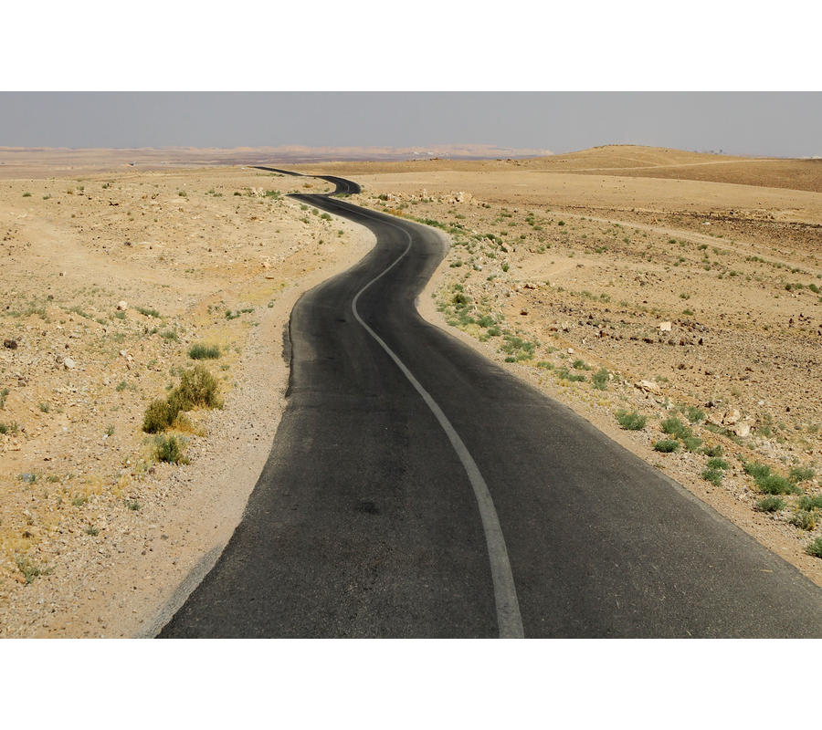 IMM_00655