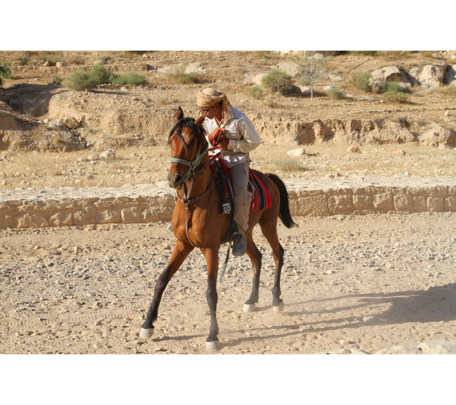 IMM_00696