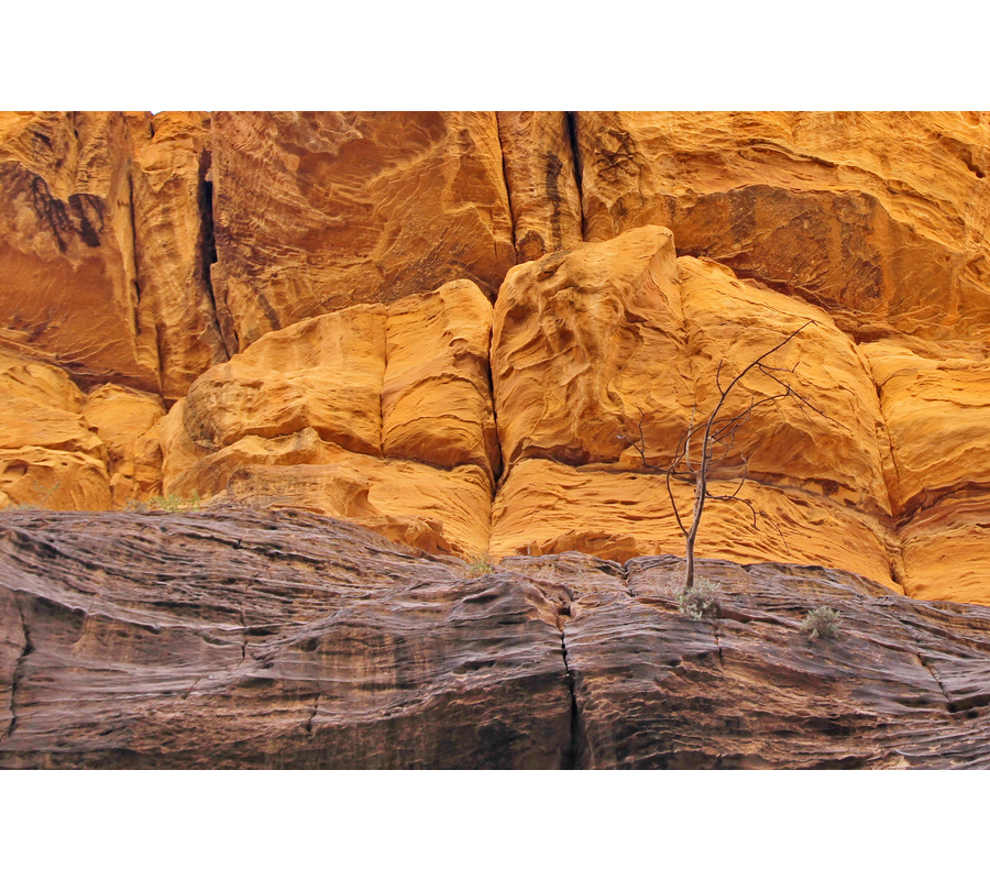 IMM_00719b