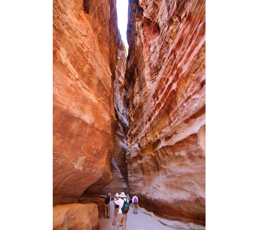 IMM_00737