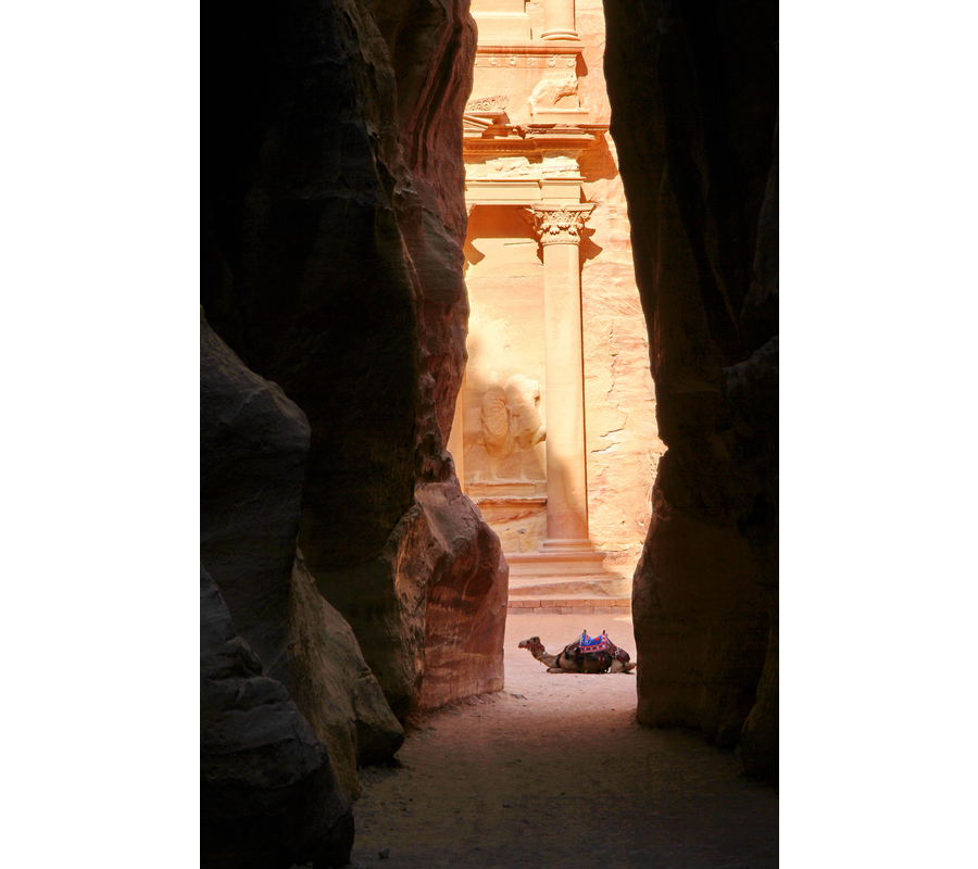 IMM_00768