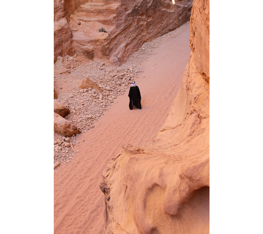 IMM_00823