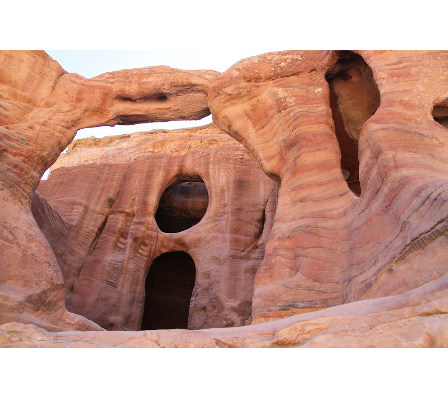 IMM_00898