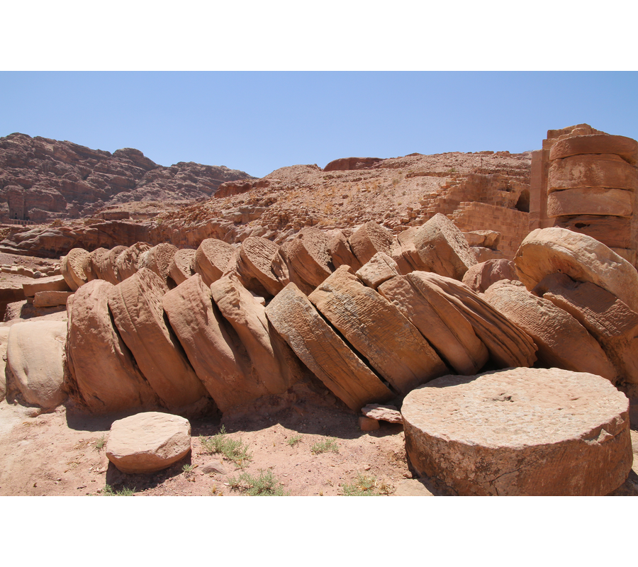 IMM_01051
