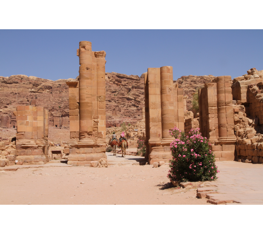 IMM_01122