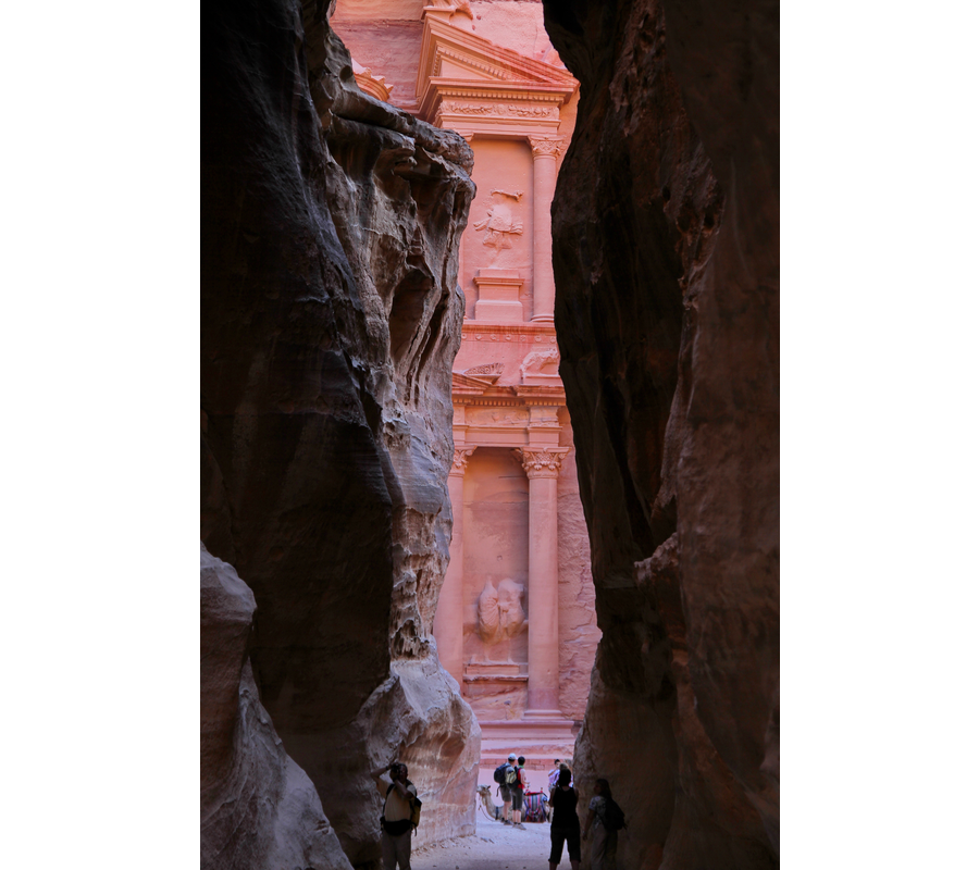 IMM_01210