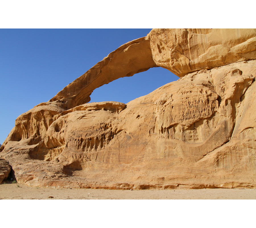 IMM_01440