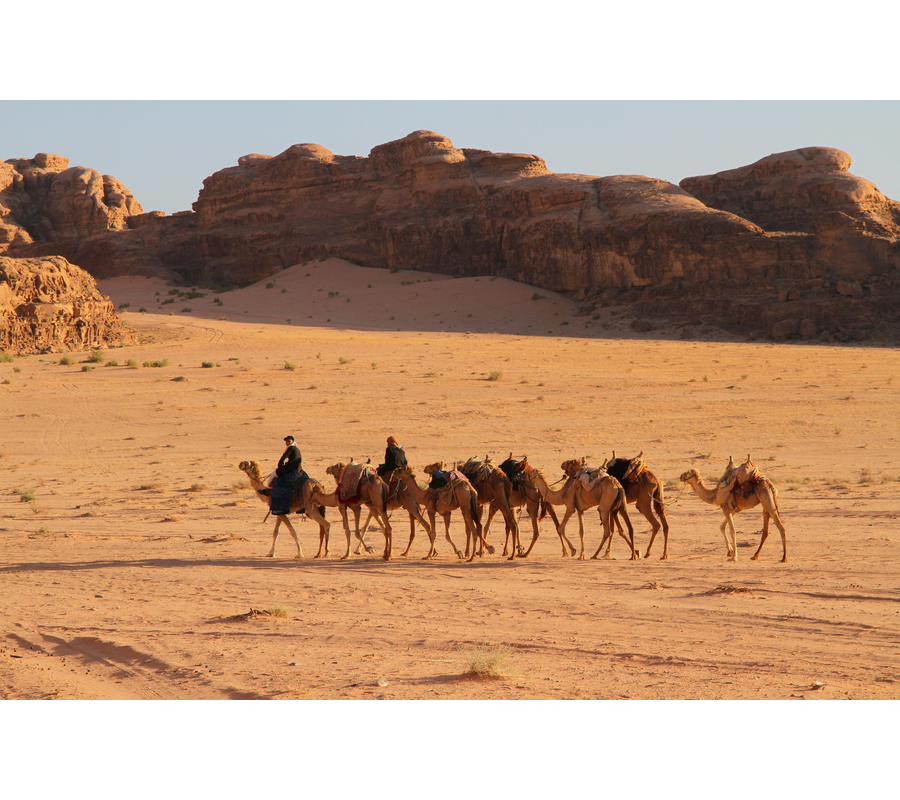 IMM_01514
