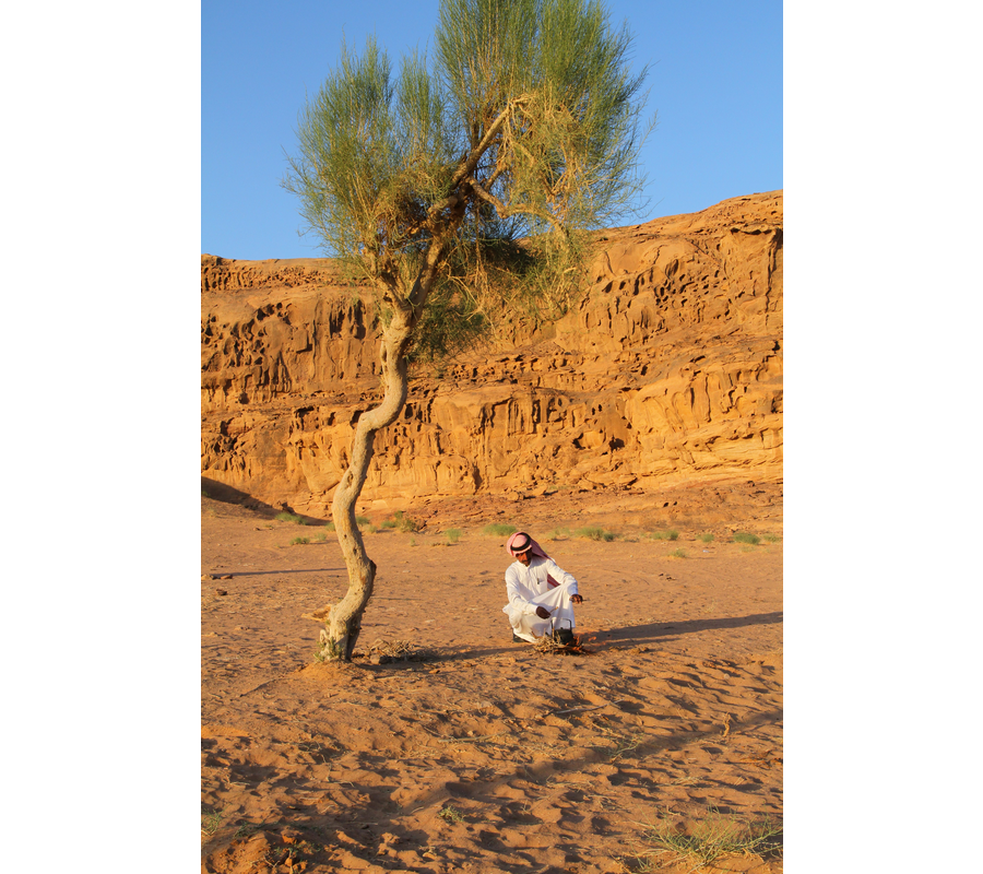IMM_01560