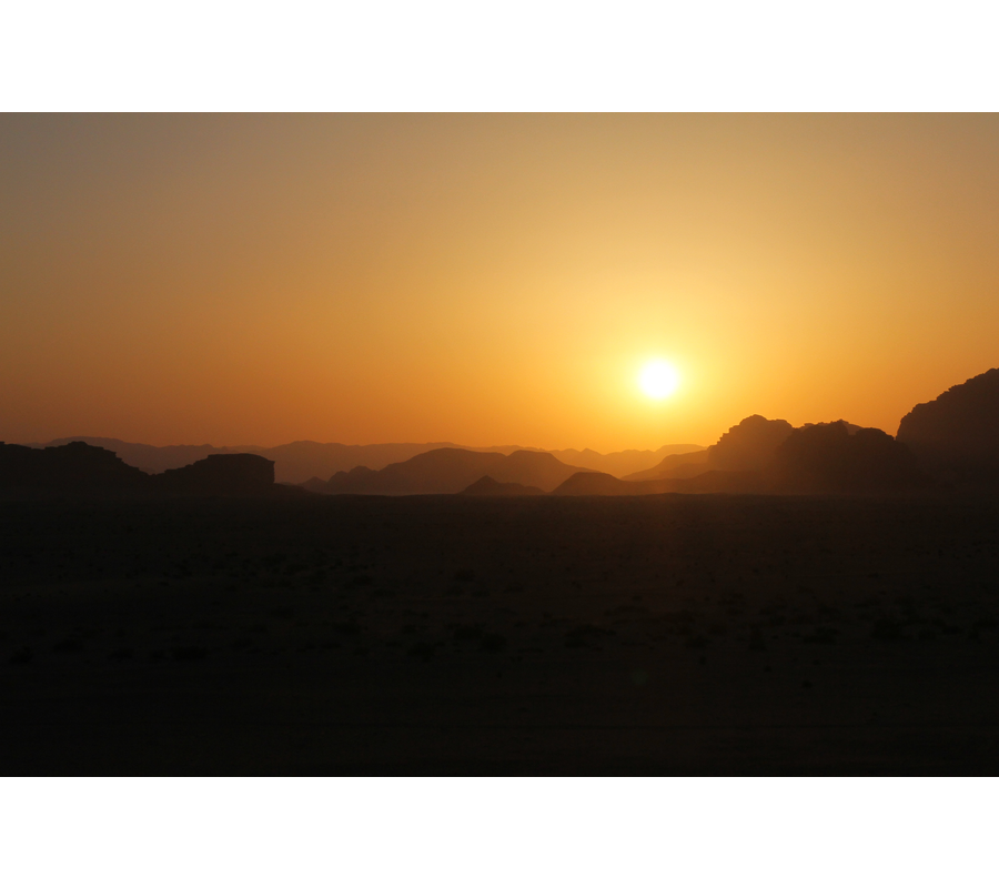 IMM_01586