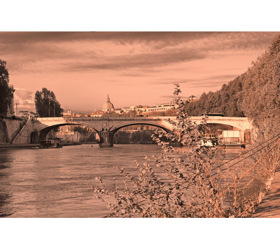 IMG__03767--b