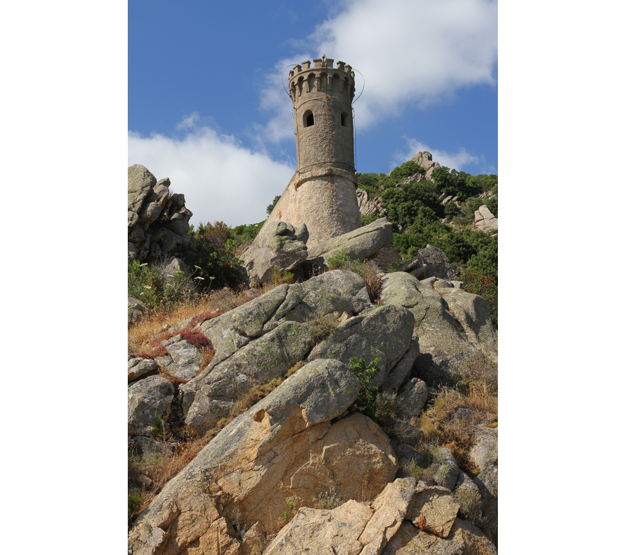 IMM__26490