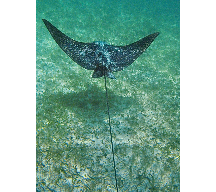 P5141035