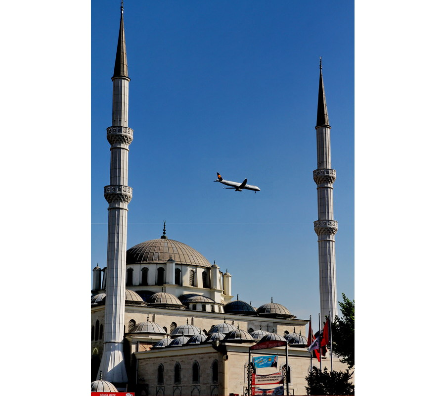 IMM_09310