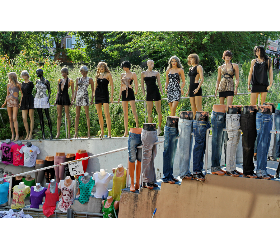 IMM_09320