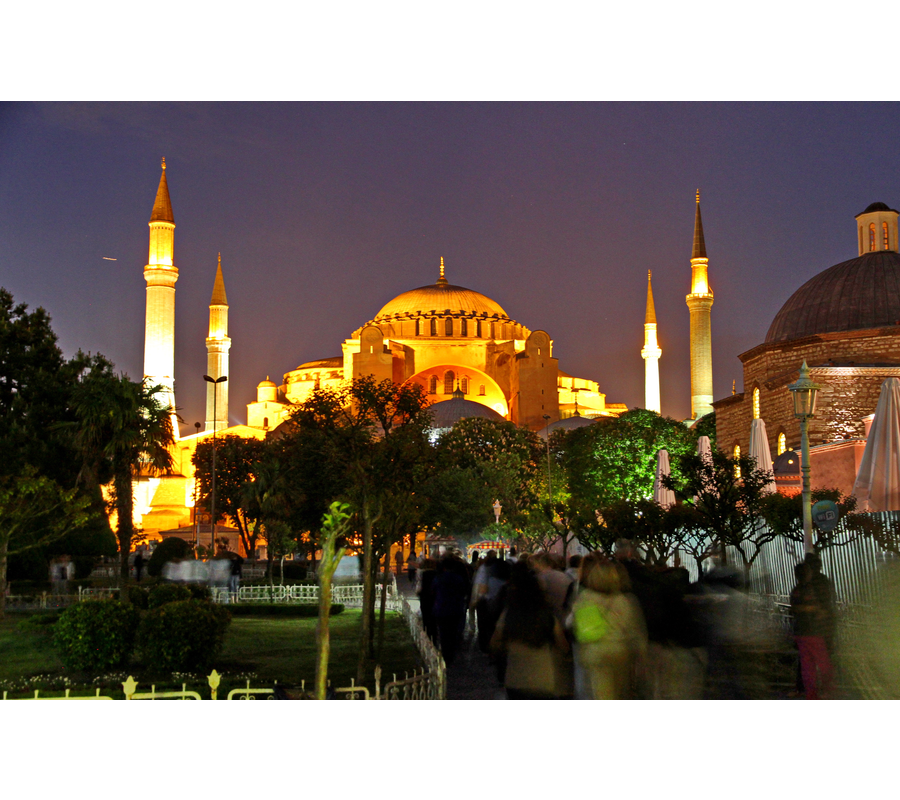 IMM_09355