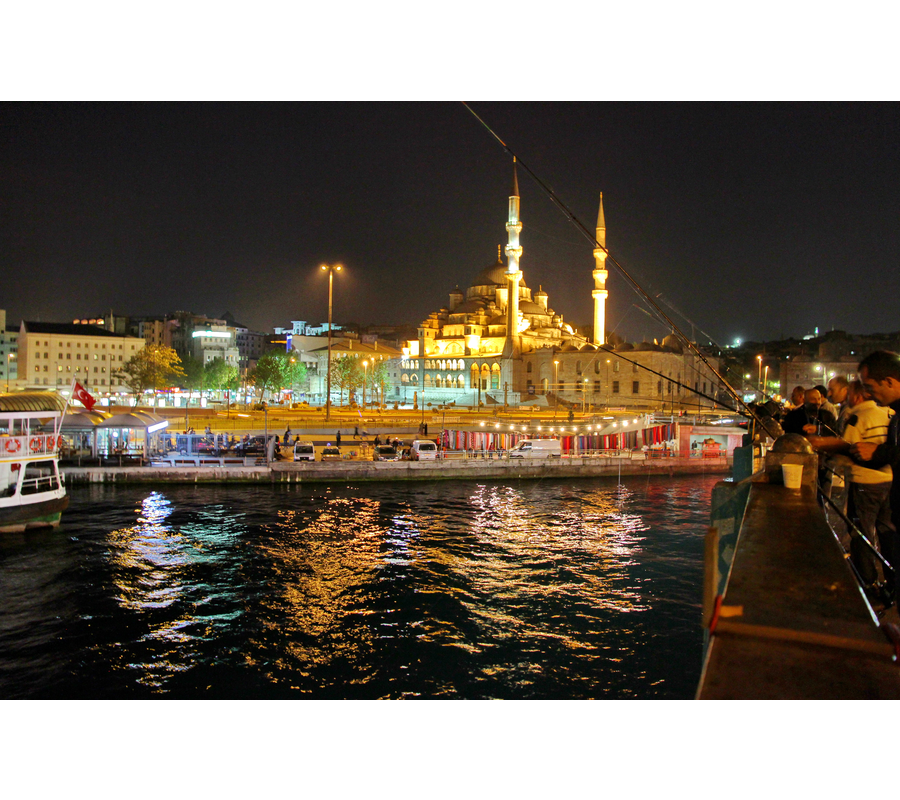 IMM_09379