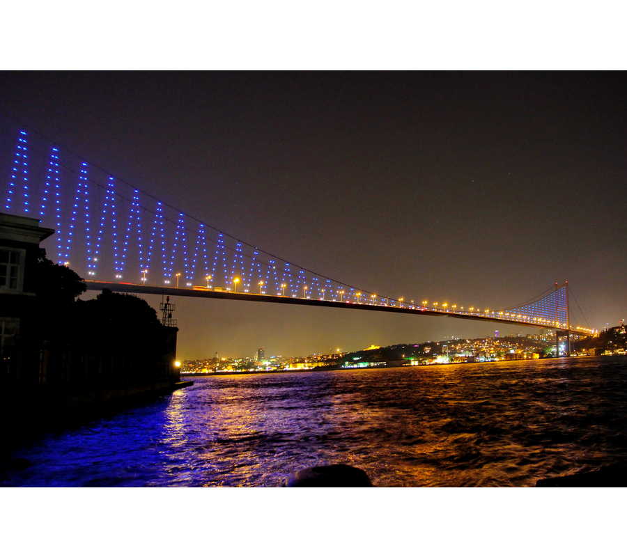 IMM_09412