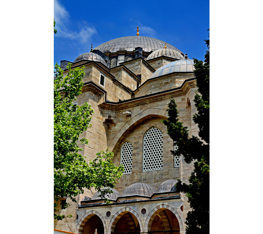 IMM_10043