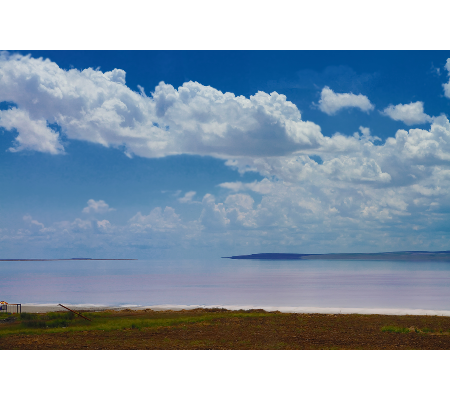 IMM_10216
