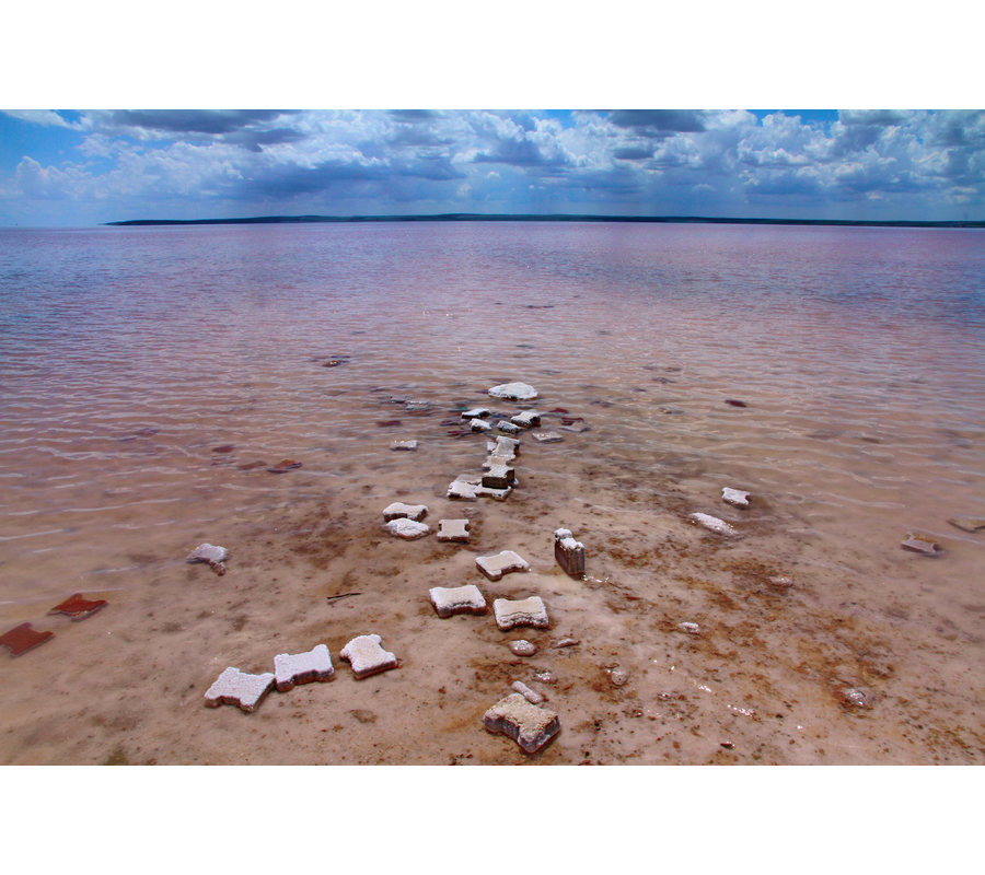 IMM_10242-b