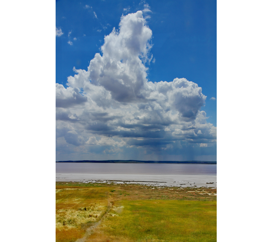 IMM_10262