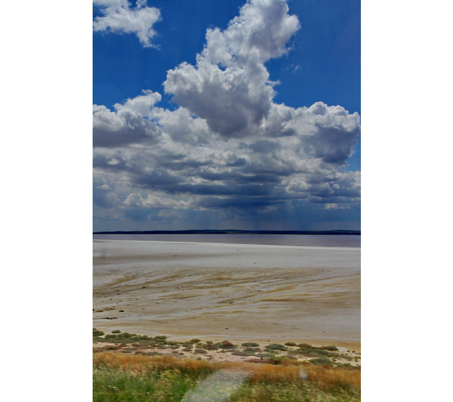 IMM_10266