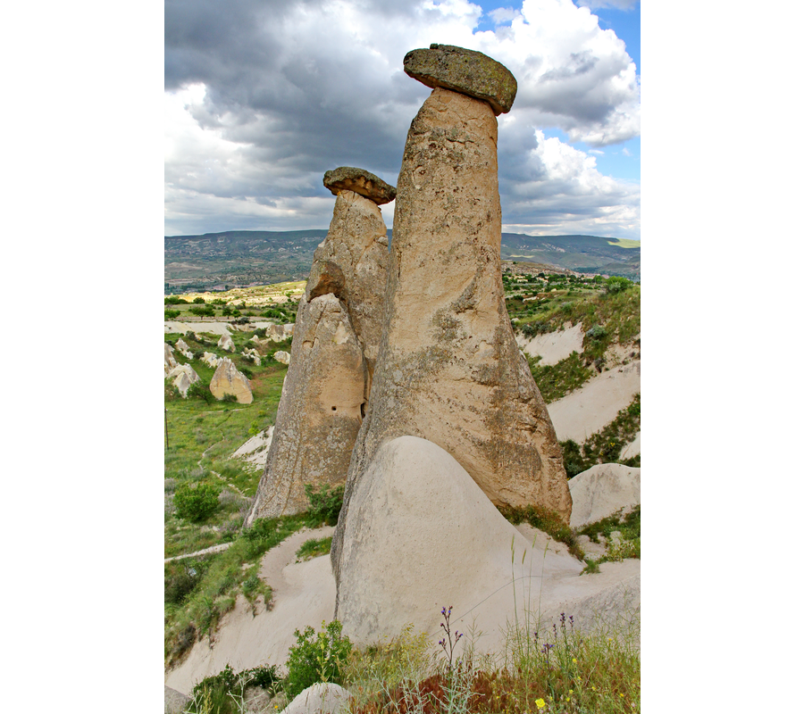 IMM_10317