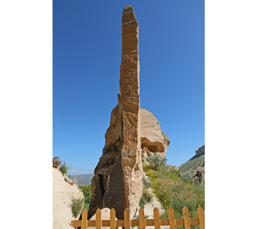IMM_10603