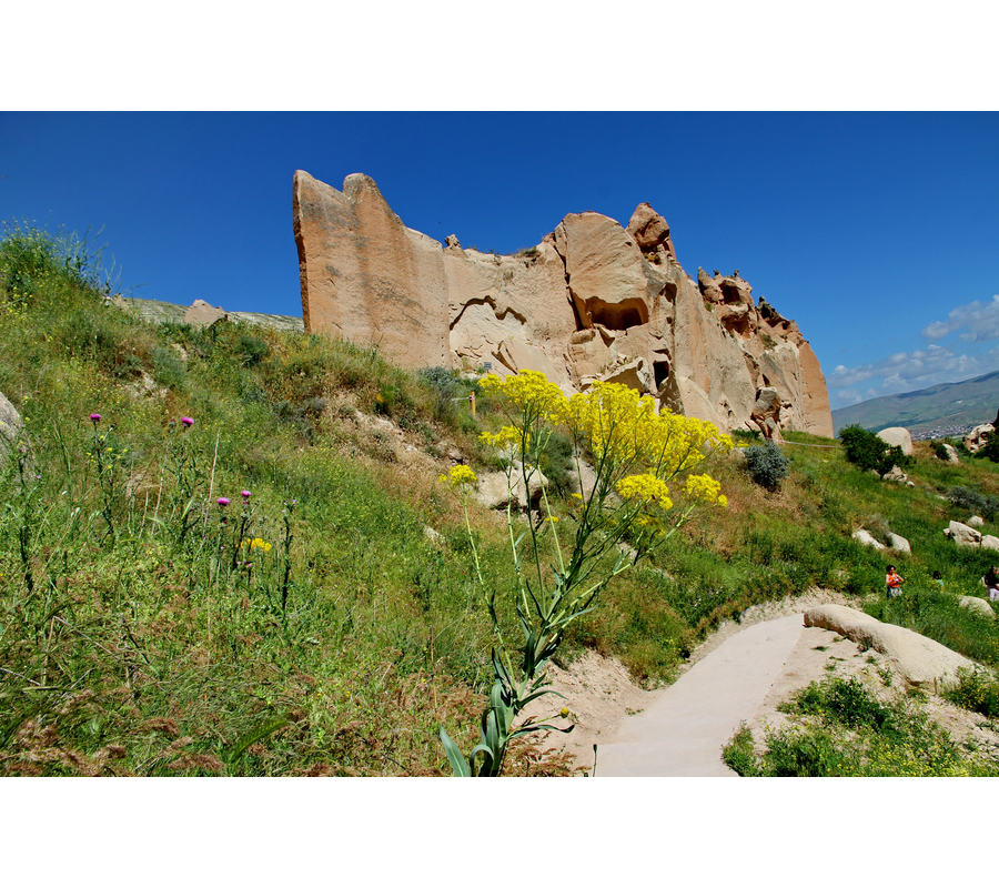 IMM_10693