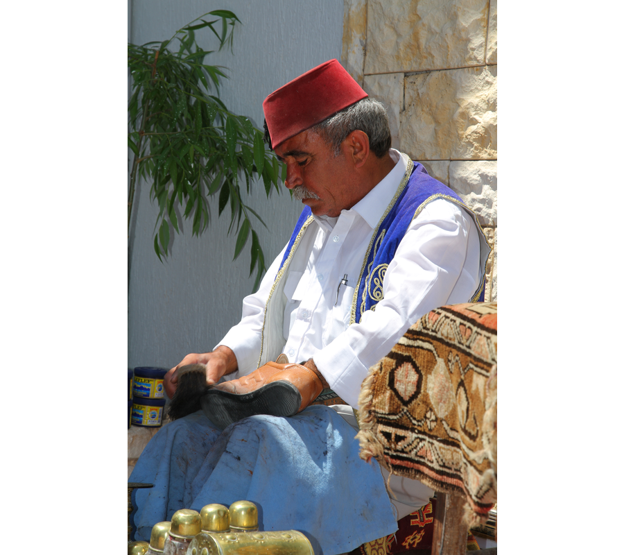 IMM_10772