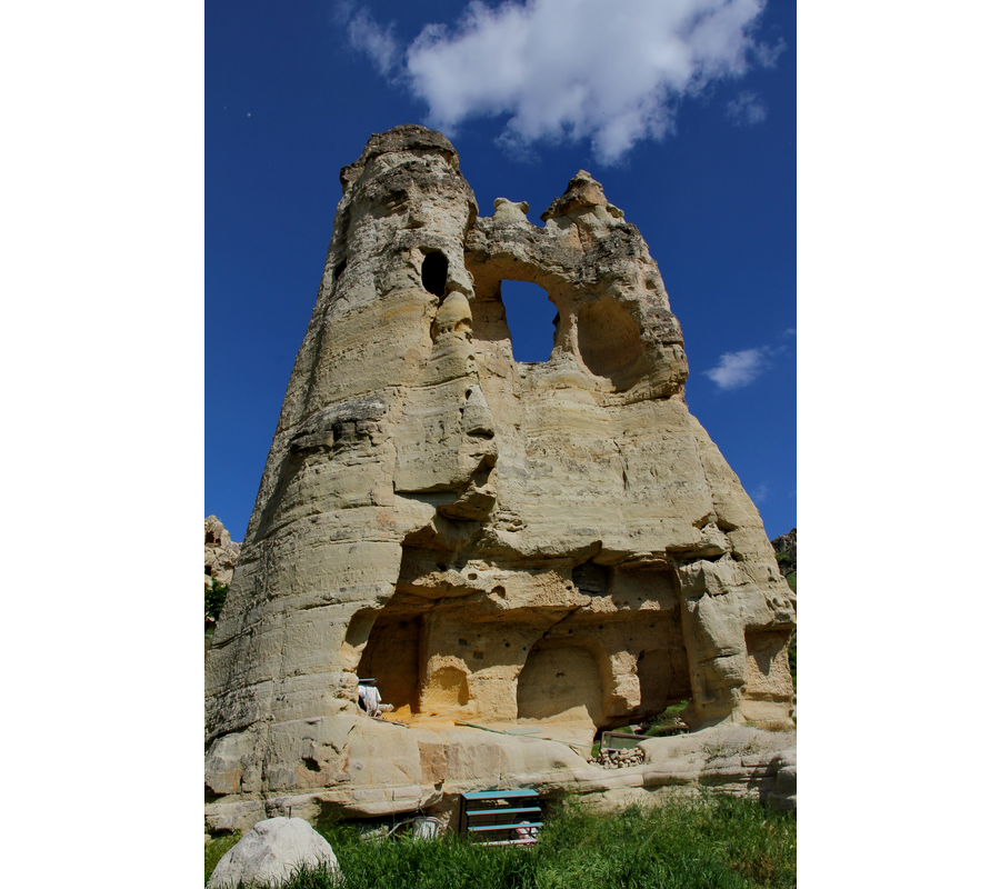 IMM_10854